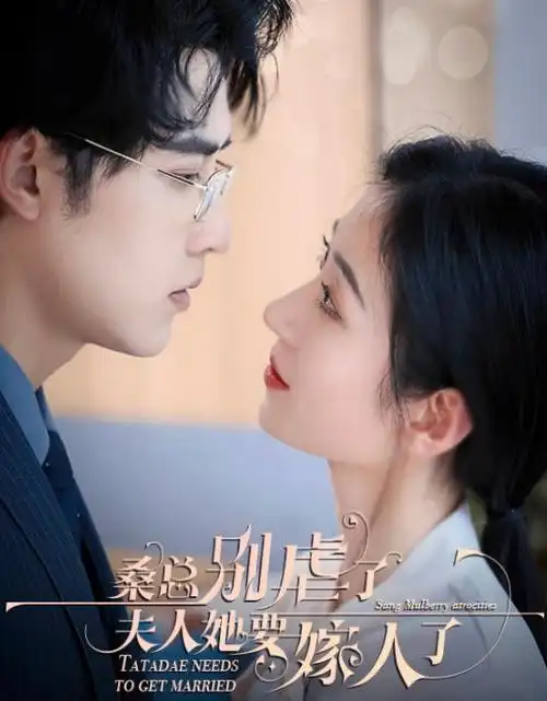 她的第七次离婚更新封面